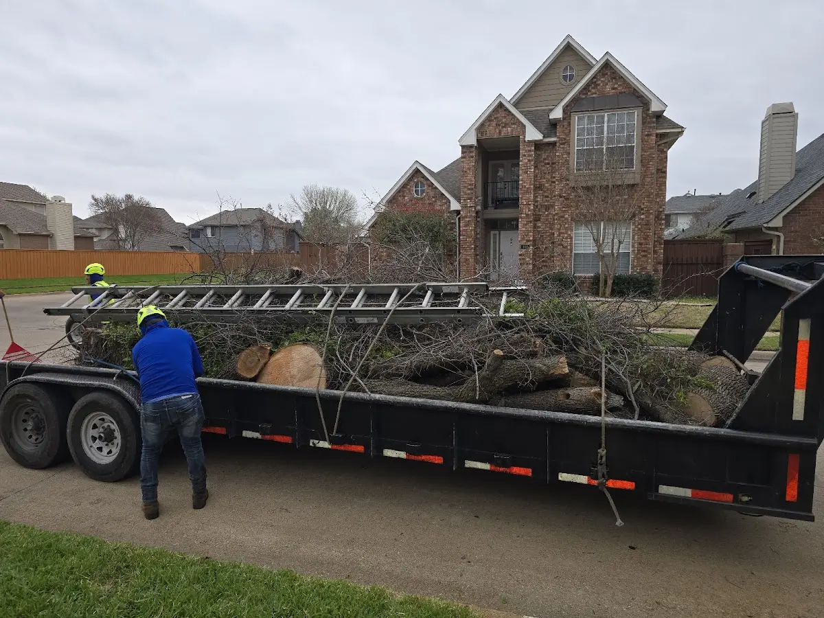 Expert Lot Clearing with proper safety equipment in Marcus